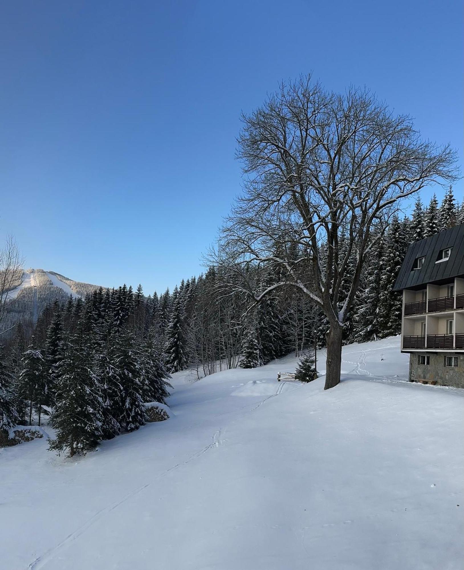 Hotel Horni Pramen Шпиндлерув-Млин Экстерьер фото